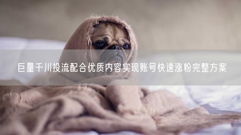 巨量千川投流配合优质内容实现账号快速涨粉完整方案