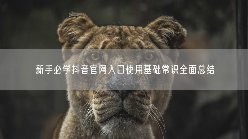 新手必学抖音官网入口使用基础常识全面总结