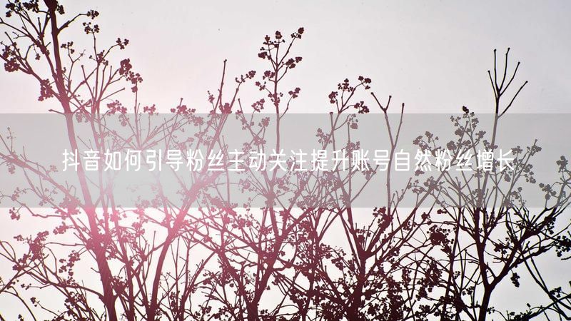 抖音如何引导粉丝主动关注提升账号自然粉丝增长