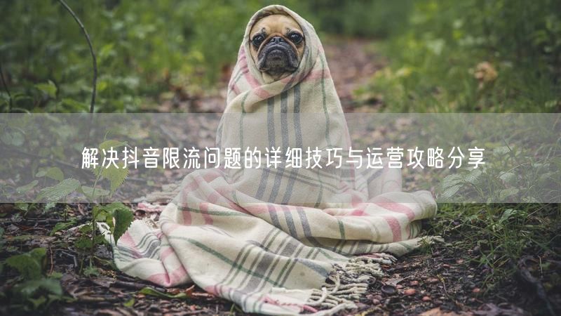 解决抖音限流问题的详细技巧与运营攻略分享