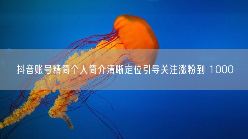 抖音账号精简个人简介清晰定位引导关注涨粉到 1000