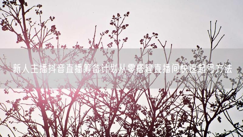 新人主播抖音直播筹备计划从零搭建直播间快速起号方法