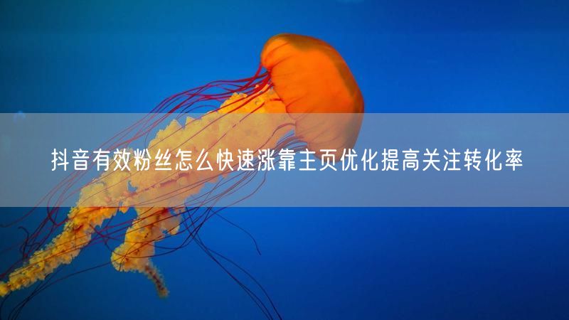 抖音有效粉丝怎么快速涨靠主页优化提高关注转化率