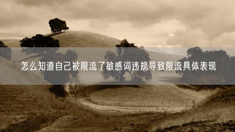 怎么知道自己被限流了敏感词违规导致限流具体表现