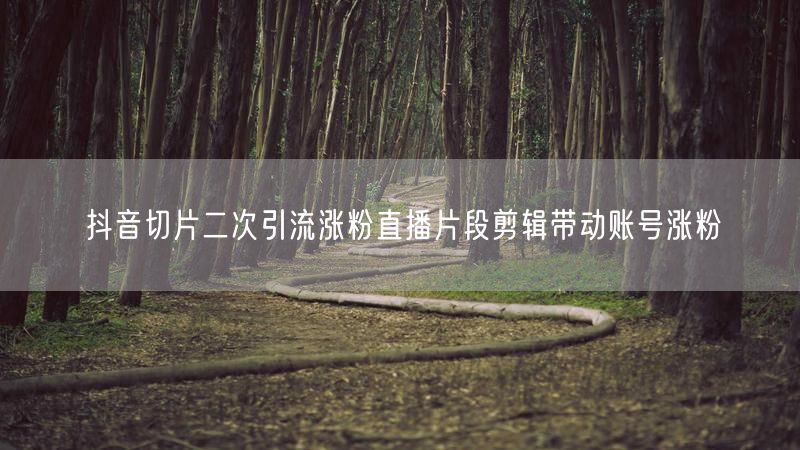 抖音切片二次引流涨粉直播片段剪辑带动账号涨粉